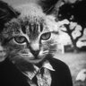 Profilbild von Mєρhιstớρhєlєs