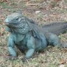 Profilbild von Cayman Iguana 〓〓🇭🇰 🇲🇹 🇺🇦