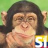 JorgeLuisGd profil fotoğrafı