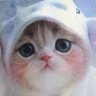 Фото профиля Re:)みほにゃん🐰🌺アネさんのニャンコ
