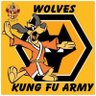 wolfy 的头像
