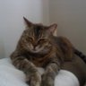 Profilbild von michelle815