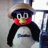よたちゃん profil fotoğrafı
