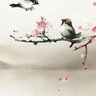 حبيب العمر 的头像