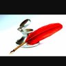 DİVİTUCU's profile picture