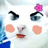 Mrsakuragogo@サクラゴゴ25's profile picture