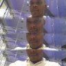 Pappy Jyde's profile picture