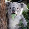 Olga's profile picture
