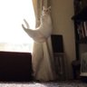 Зои Бешамель profil fotoğrafı