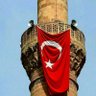 derya ay's profile picture