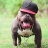 VicBen profil fotoğrafı
