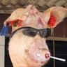 Cool Dude's profile picture