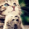 Aygul Donmez profil fotoğrafı