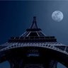 FrenchyLamb 的头像