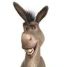 Profilbild von Peter Poopstain