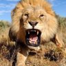 Aaron Stumes's profile picture