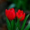 Фото профиля Wgh118