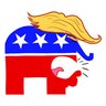 Trump Facts 的头像