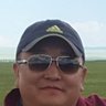 Bold's profile picture