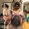 Фото профиля Nick licks
