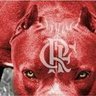 Torcedor roxo's profile picture