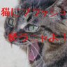 まねお＠卓球民's profile picture