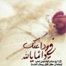 Profilbild von أ/أم فيصل
