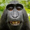 Rafa Arciniegas's profile picture