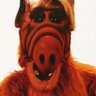 Profilbild von l’ami des chaaats