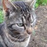 Jean-Francois's profile picture