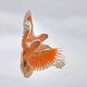 Jennifer Gosling profil fotoğrafı