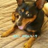 kumochocha profil fotoğrafı