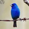 Фото профиля عادل الغانم