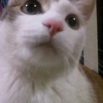 wagamamakorin's profile picture