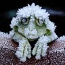 Фото профиля Ena Jay