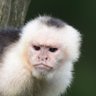 jan hendrik de wit's profile picture