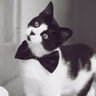 Profilbild von Maximus23