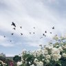 وداد ˇ♡ 的头像