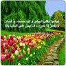 Profilbild von أبو عبدالله