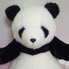 中川美帆 Miho Nakagawa's profile picture