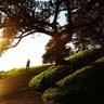 穆戈 profil fotoğrafı
