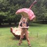 Rhys's profile picture
