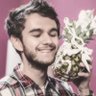 Фото профиля pineapples! Stream Z3 TELOS!!