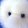 fuzz_god profil fotoğrafı