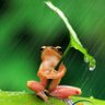 ルパン01 profil fotoğrafı