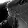 Profilbild von SuperMom