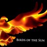 Profilbild von Birds of the Sun