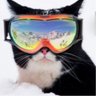 Nofumare's profile picture