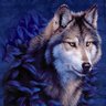 Wolf6120's profile picture