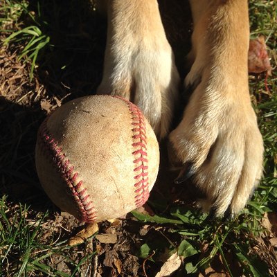 Pete Grathoff's profile picture